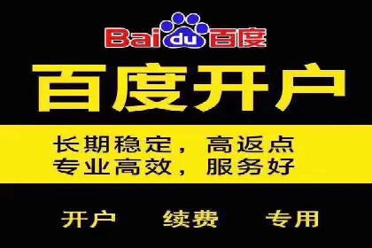 百度推广与社交媒体结合的营销策略：成功案例解读